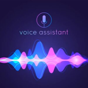 Voice Command System for Web Applications