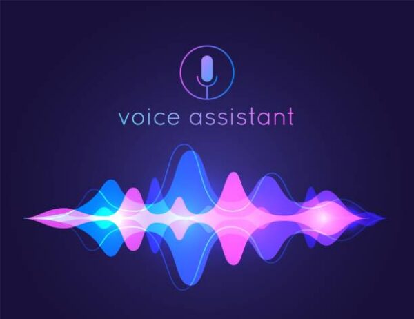 Voice Command System for Web Applications